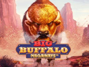game logo by Skywind Group on rhinobets.uk.com
