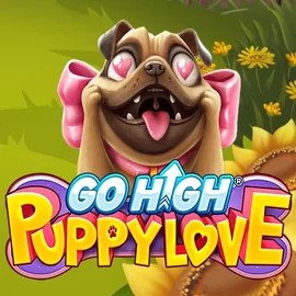 game logo by RubyPlay on rhinobets.uk.com